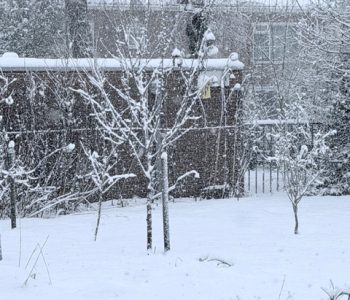 Schooltuin winter